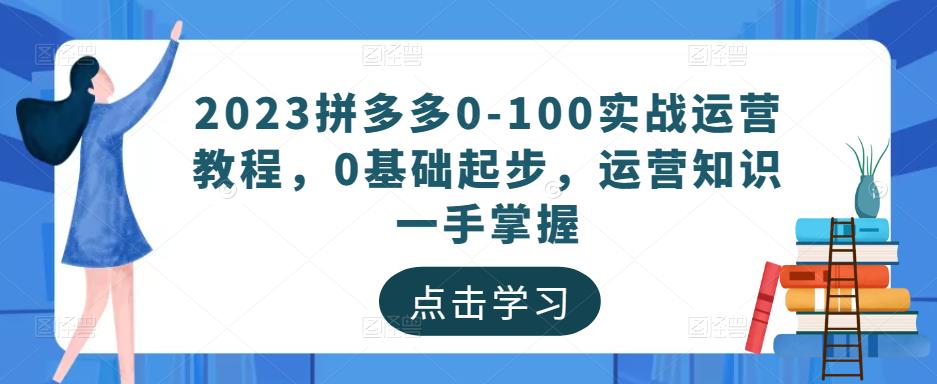 2023拼多多0-100实战运营教程，0基础起步，运营知识一手掌握-随风网创