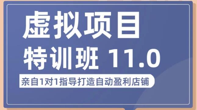 陆明明·虚拟项目特训班（10.0+11.0），0成本获取虚拟素材，0基础打造自动盈利店铺-易创网