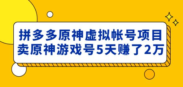 外面卖2980的拼多多原神虚拟帐号项目：卖原神游戏号5天赚了2万-星云网创