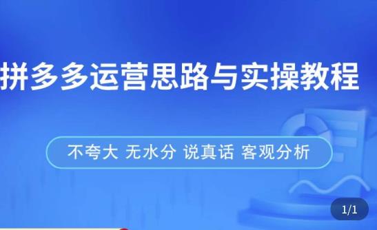 拼多多店铺运营思路与实操教程，快速学会拼多多开店和运营，少踩坑，多盈利-休闲网赚three