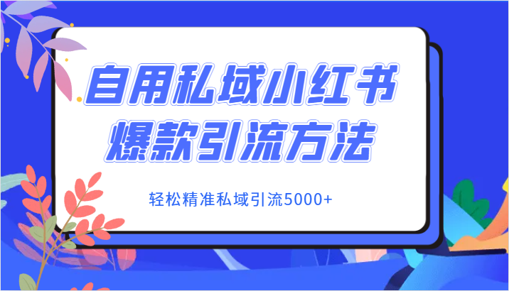 自用私域小红书爆款引流方法，轻松精准私域引流5000+-创享网