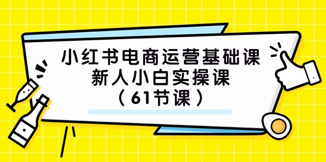 小红书电商运营基础课，新人小白实操课（61节课）-花生资源网