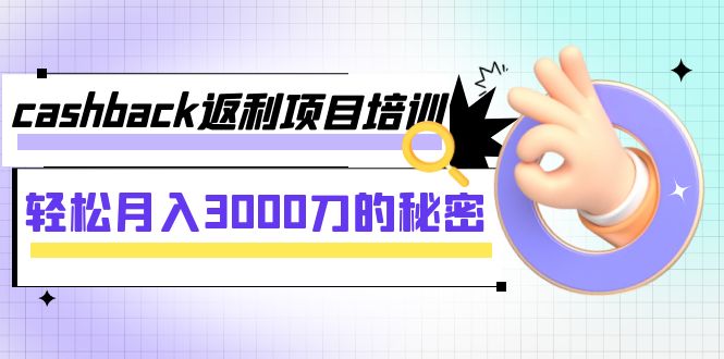 （7765期）cashback返利项目培训：轻松月入3000刀的秘密（8节课）-大海创业网