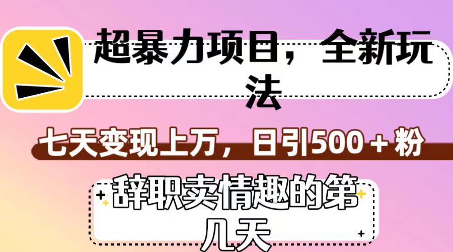 超暴利项目，全新玩法（辞职卖情趣的第几天），七天变现上万，日引500+粉-有道网创