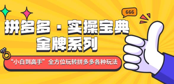 拼多多·实操宝典：金牌系列“小白到高手”带你全方位玩转拼多多各种玩法-优优云网创