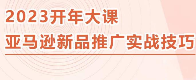 2023亚马逊新品推广实战技巧，线下百万美金课程的精简版，简单粗暴可复制，实操性强的推广手段-休闲网赚three