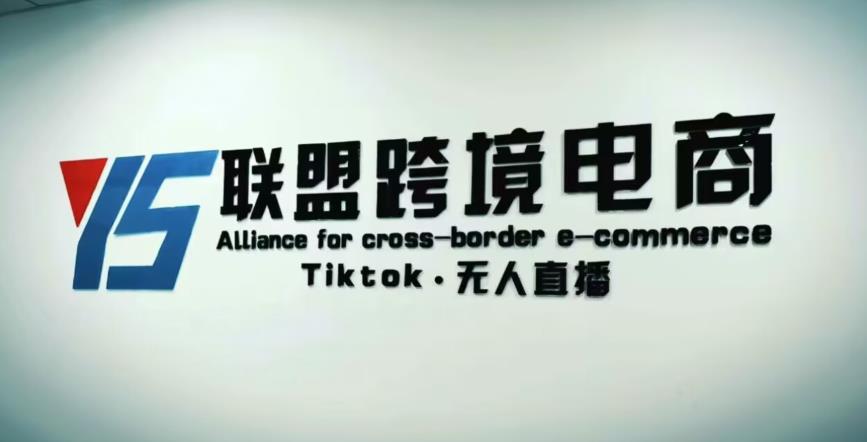 YS联盟·Tiktok无人直播，不出镜不剪辑不拍摄不发货无售后的跨境短视频躺赚玩法-优优云网创