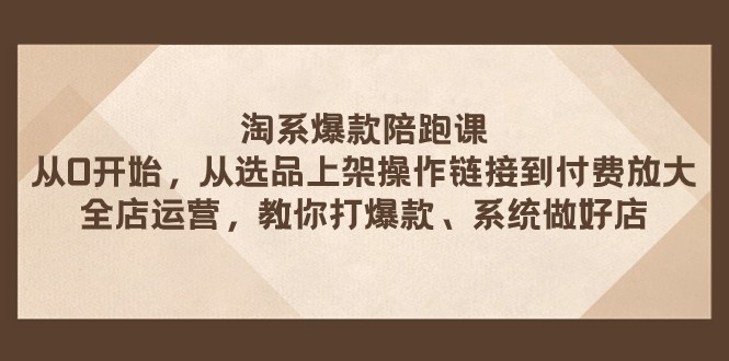 淘系爆款陪跑课 从选品上架操作链接到付费放大 全店运营 打爆款 系统做好店-有道网创