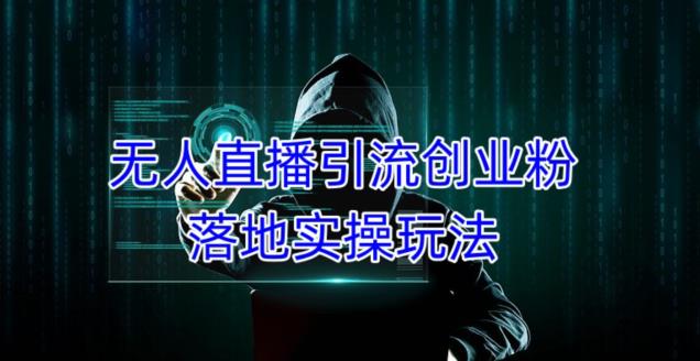 外面收费3980的无人直播引流创业粉落地实操玩法，单日引100+精准创业粉-花生资源网