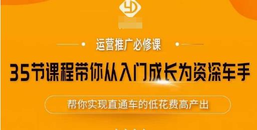 35节课程带你从入门成长为资深车手，让系统学习直通车成为可能，帮你实现直通车的低花费高产出-随风网创