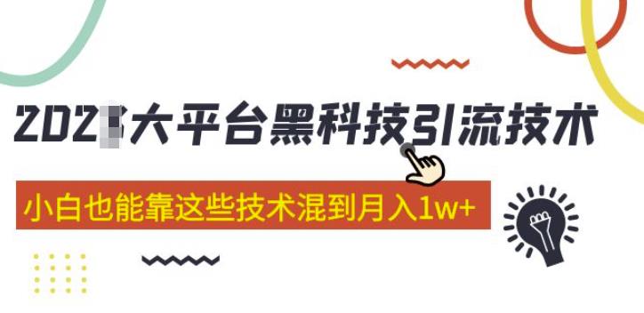 大平台黑科技引流技术，小白也能靠这些技术混到月入1w+(2022年的课程）-枫客网创