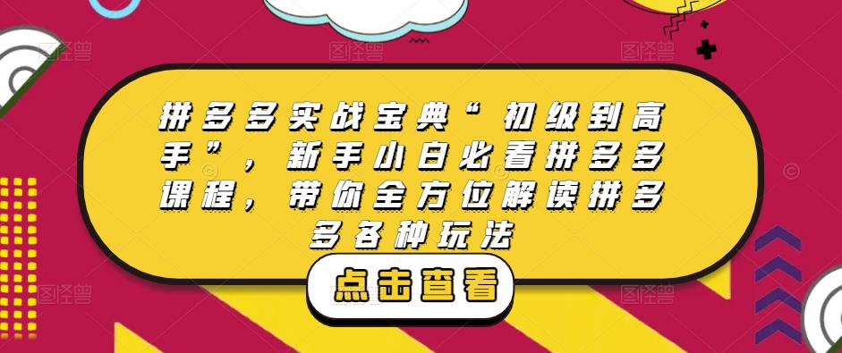 拼多多实战宝典“初级到高手”，新手小白必看拼多多课程，带你全方位解读拼多多各种玩法-八一网创分享