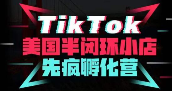 疯人院·TikTok美国半闭环小店孵化营，抢占TikTok美国蓝海市场，开店、运营、带货、投流全实操 - 当动网创