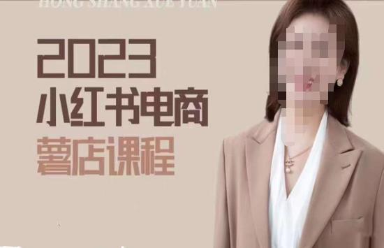 2023小红书电商课，新手小白从0~1玩转小红书薯店电商 - 当动网创