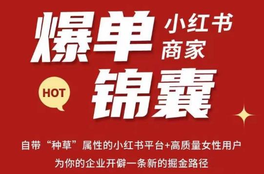 无畏·小红书商家爆单锦囊，掌握小红书各大规则，快速精准抢占行业和市场-优优云网创