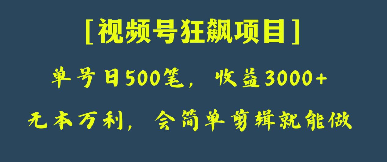 日收款500笔，纯利润3000+，视频号狂飙项目！-创享网