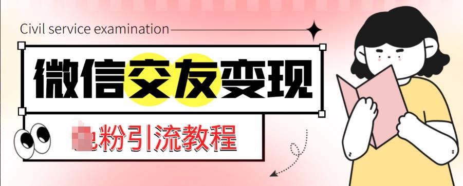 微信交友变现项目，吸引全网LSP男粉精准变现，小白也能轻松上手，日入500+-花生资源网