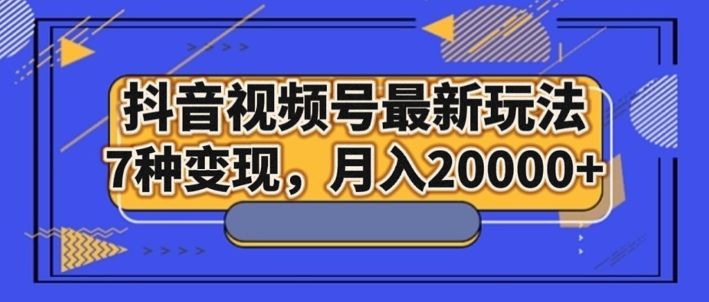 抖音视频号最新玩法，7种变现，月入20000+-云网创