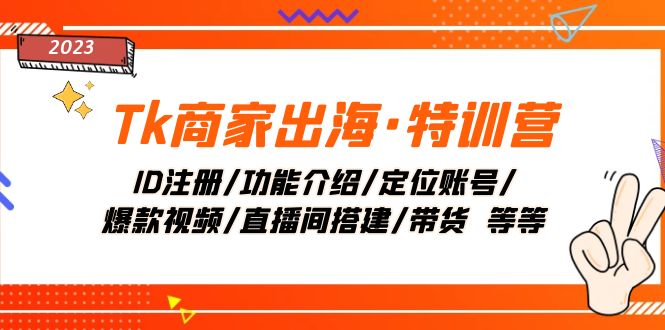 （7974期）Tk商家出海·特训营：ID注册/功能介绍/定位账号/爆款视频/直播间搭建/带货.-休闲网赚three