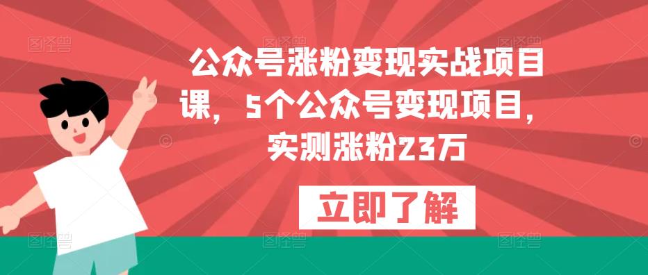 公众号涨粉变现实战项目课，5个公众号变现项目，实测涨粉23万清迈曼芭椰创赚-副业项目创业网清迈曼芭椰