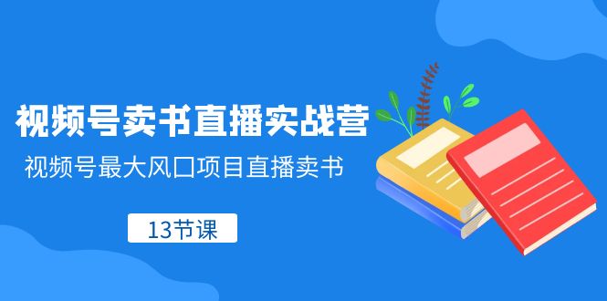 视频号卖书直播实战营，视频号最大风囗项目直播卖书（13节课）-八度网创