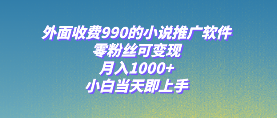 （8016期）小说推广软件，零粉丝可变现，月入1000+，小白当天即上手【附189G素材】-随风网创