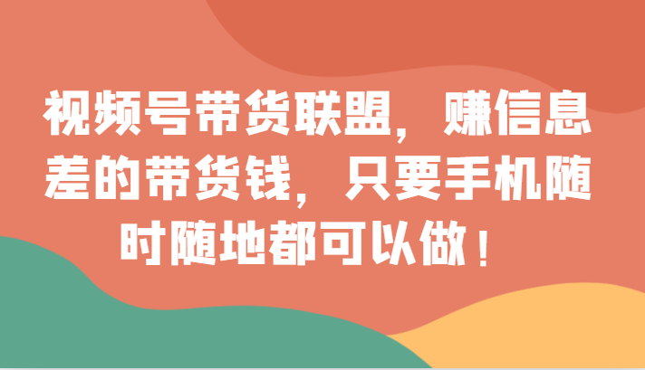 视频号带货联盟，赚信息差的带货钱，只需手机随时随地都可以做！-搞点网创库