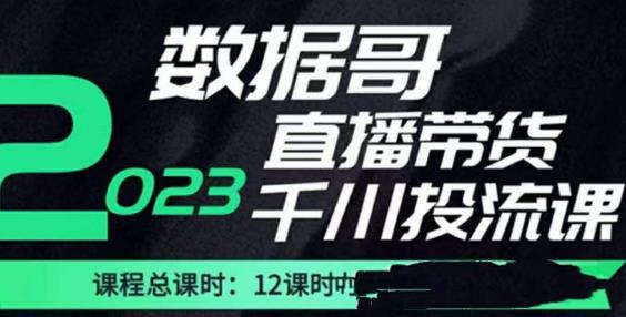 数据哥2023直播电商巨量千川付费投流实操课，快速掌握直播带货运营投放策略-优优云网创