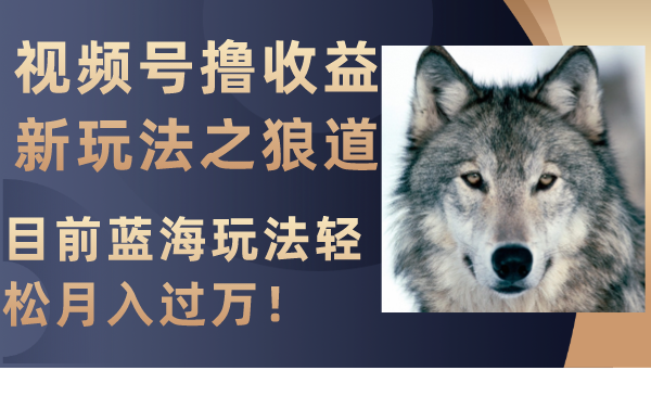 （8042期）视频号撸收益新玩法之狼道，目前蓝海玩法轻松月入过万！-大海创业网