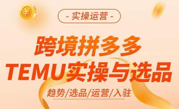 跨境拼多多TEMU实操与选品，​掌握平台运营方法技巧，选品避坑12条标准，爆款的底层思路等-休闲网赚three