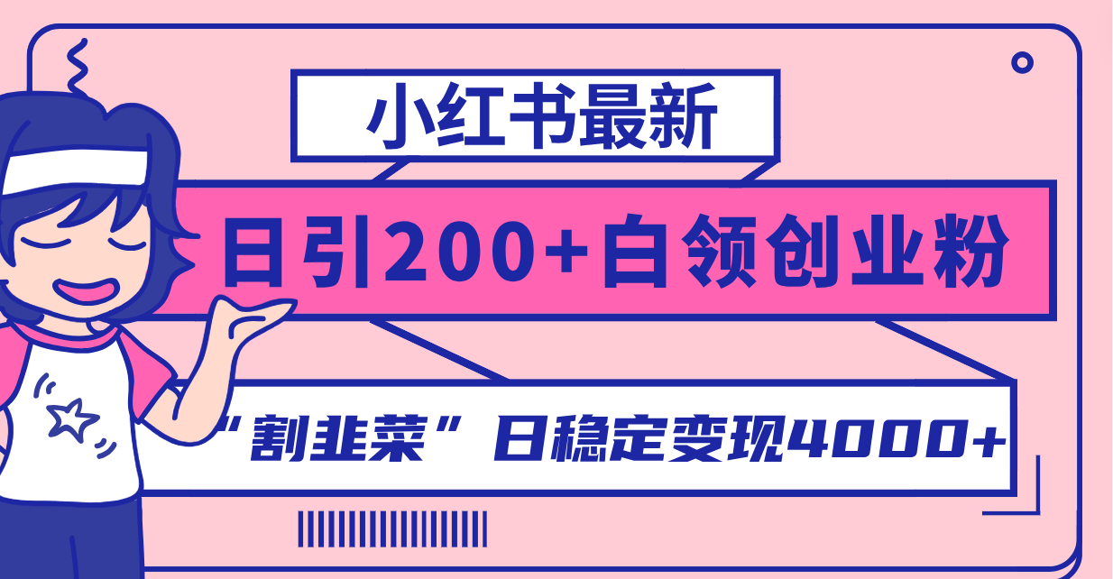 （8052期）小红书最新日引200+创业粉”割韭菜“日稳定变现4000+实操教程！-有道网创