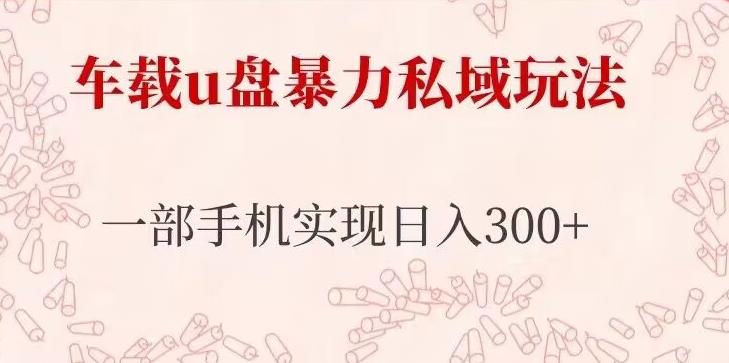 车载u盘暴力私域玩法，长期项目，仅需一部手机实现日入300+-创享网