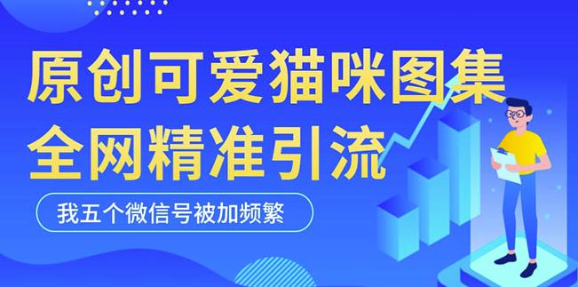 黑科技纯原创可爱猫咪图片，全网精准引流，实操5个VX号被加频繁 - 当动网创