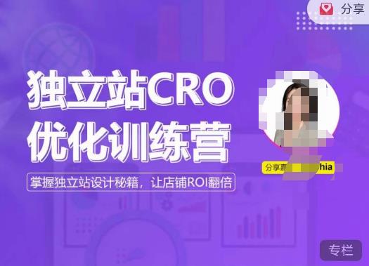 独立站CRO优化训练营，掌握独立站设计秘籍，打造高转化的独立站，让店铺ROI翻倍-我要项目网