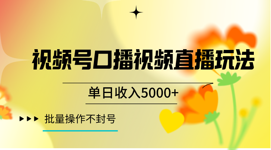 视频号口播视频直播玩法单日收入5000+，一种可以单号持续操作的玩法-大海创业网