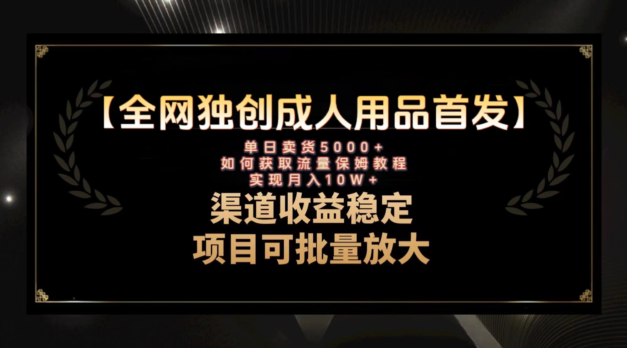 （8128期）最新全网独创首发，成人用品赛道引流获客，月入10w保姆级教程-八一网创分享