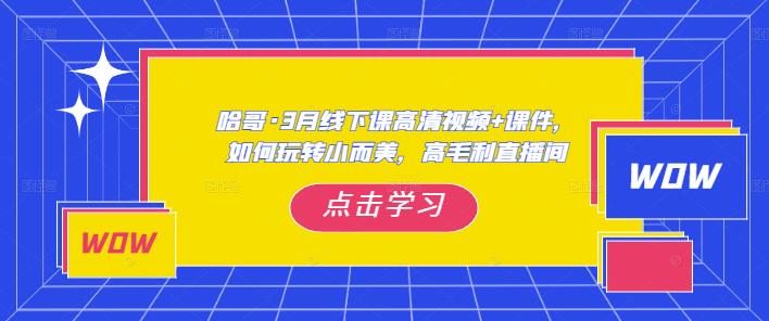 哈哥·3月线下实操课高清视频+课件，如何玩转小而美，高毛利直播间-亿云网创