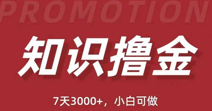 抖音知识撸金项目：简单粗暴日入1000+执行力强当天见收益(教程+资料)-我要项目网