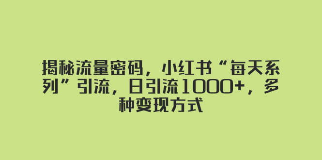 （8179期）揭秘流量密码，小红书“每天系列”引流，日引流1000+，多种变现方式-随风网创