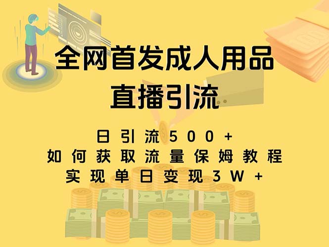 （8193期）最新全网独创首发，成人用品直播引流获客暴力玩法，单日变现3w保姆级教程-副创网