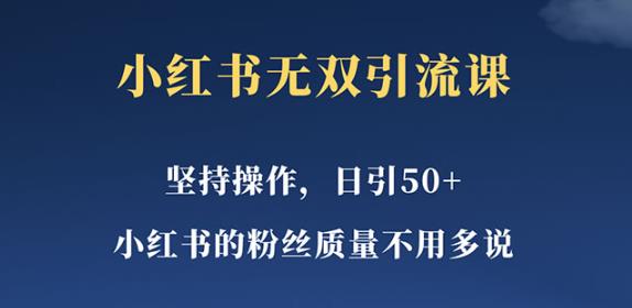 小红书无双课一天引50+女粉，不用做视频发视频，小白也很容易上手拿到结果【仅揭秘】-雨辰网创分享