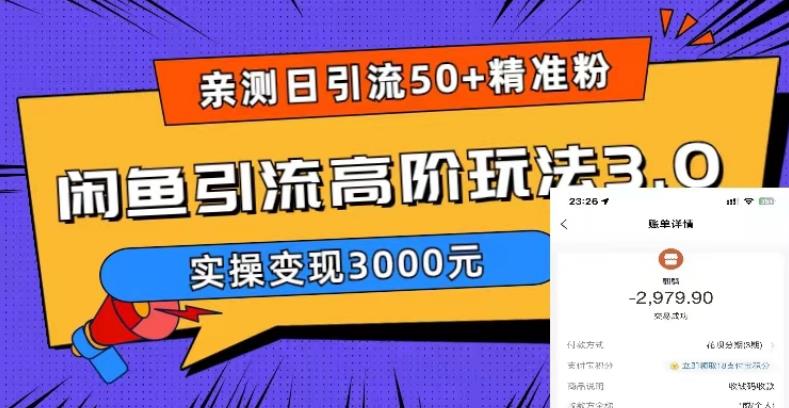 亲测日引50+精准粉，闲鱼引流高阶玩法3.0，实操变现3000元【揭秘】-星云网创