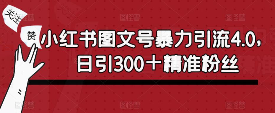 小红书图文号暴力引流4.0，日引300＋精准粉丝【揭秘】-花生资源网