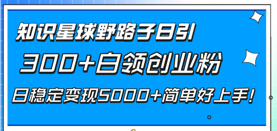 （8315期）知识星球野路子日引300+白领创业粉，日稳定变现5000+简单好上手！-枫客网创