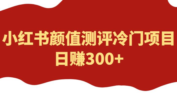 外面1980的项目，小红书颜值测评冷门项目，日赚300+【揭秘】-创享网