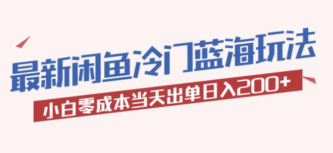 2023最新闲鱼冷门蓝海玩法，小白零成本当天出单日入200+【揭秘】-大海创业网