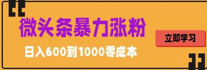 微头条暴力涨粉技巧搬运文案就能涨几万粉丝，简单0成本，日赚600【揭秘】-优优云网创