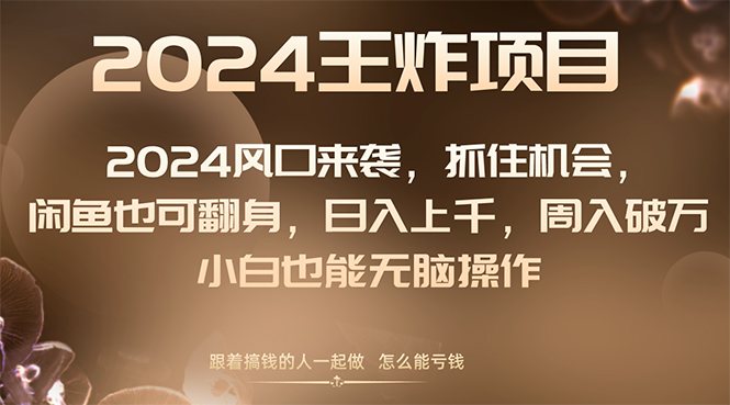 （8401期）2024风口项目来袭，抓住机会，闲鱼也可翻身，日入上千，周入破万，小白…-大海创业网