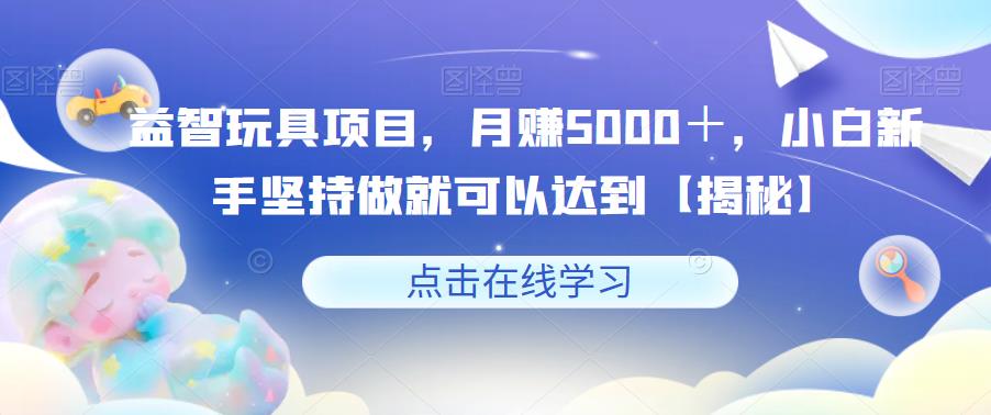 益智玩具项目，月赚5000＋，小白新手坚持做就可以达到【揭秘】 - 当动网创