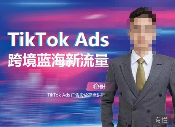 稳哥·如何投出高ROI的TikTok广告，开拓独立站卖家流量新蓝海-枫客网创